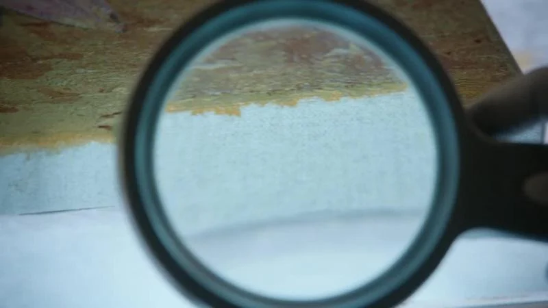 Кадры из сериала CSI: Вегас (2021)